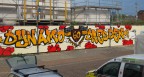 IMG_1050