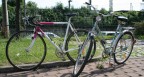 IMG_5431-695x360