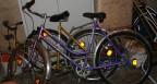 IMG_5439 IMG_5439